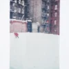 Unisex Peace for All-T-shirtar med tryck | Saul Leiter